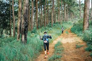 BIB: 
                            <button type="button" onclick="openModal(25742378)" class="btn btn-primary btn-sm float-right btn-popup" data-toggle="modal" data-target=".modal-high-quality">
                        <i class="fas fa-shopping-cart"></i> Add to Cart
                    </button>
                                            <button type="button" onclick="isThisMe(25742378, true)" class="btn btn-success btn-sm float-right btn-popup btn-isme hidden" data-toggle="tooltip" data-placement="bottom" title="นี่คือรูปของคุณใช่ไหม คลิกที่นี่เพื่อเอาเข้าอัลบั้ม">
                        <i class="fas fa-plus"></i> Add to album
                    </button>
                    <button type="button" onclick="isThisMe(25742378, false)" class="btn btn-warning btn-sm float-right btn-popup btn-isnotme hidden">
                        <i class="fas fa-ban"></i> Remove from album
                    </button>